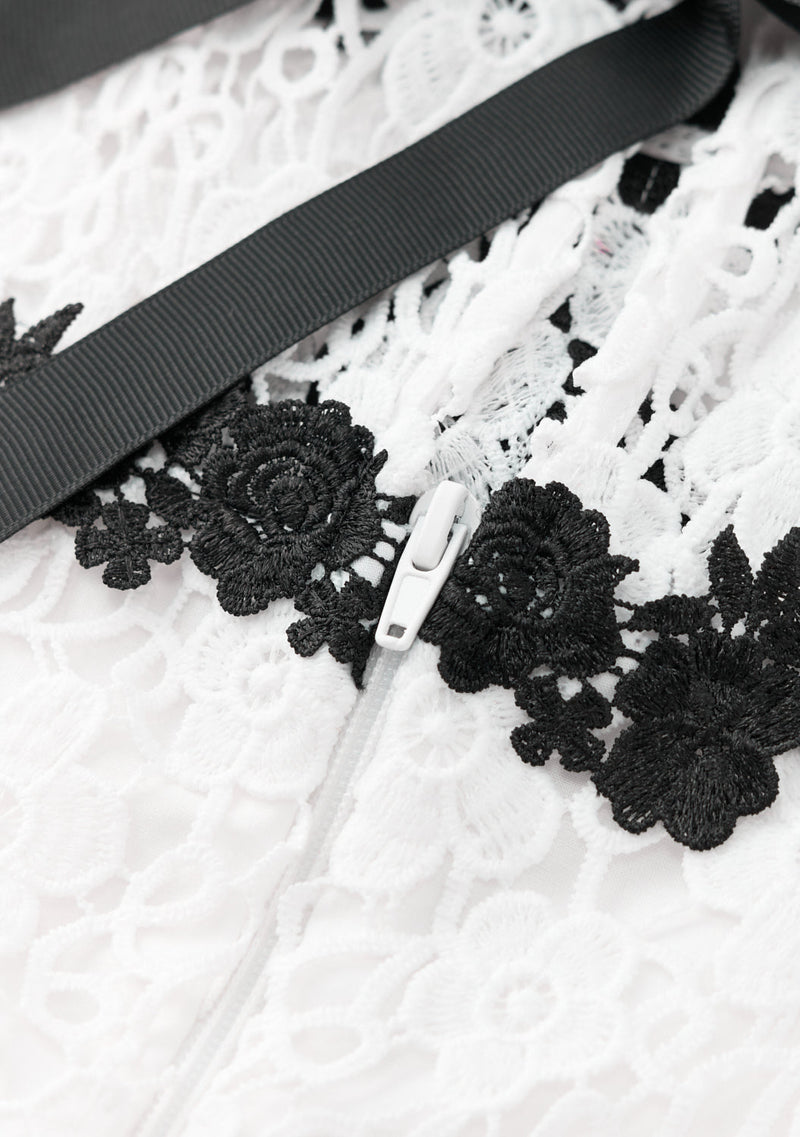 Aveline Embroidered Mini Dress