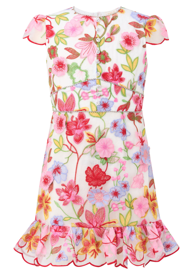 Arabella Embroidered Mini Dress