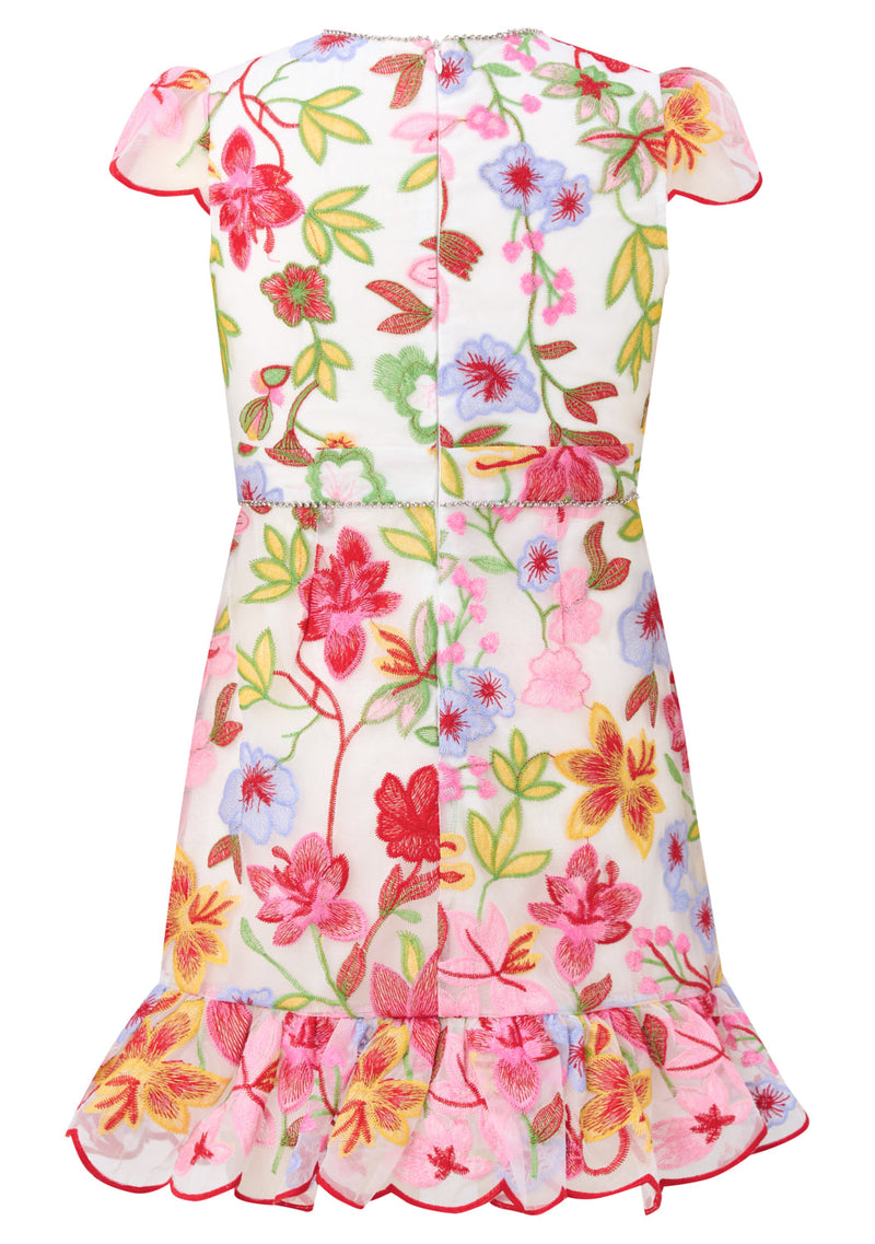 Arabella Embroidered Mini Dress
