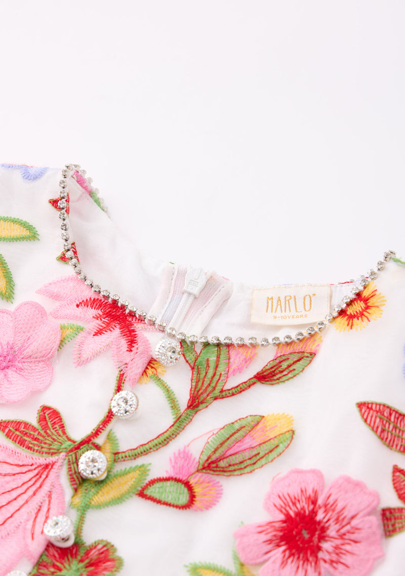 Arabella Embroidered Mini Dress