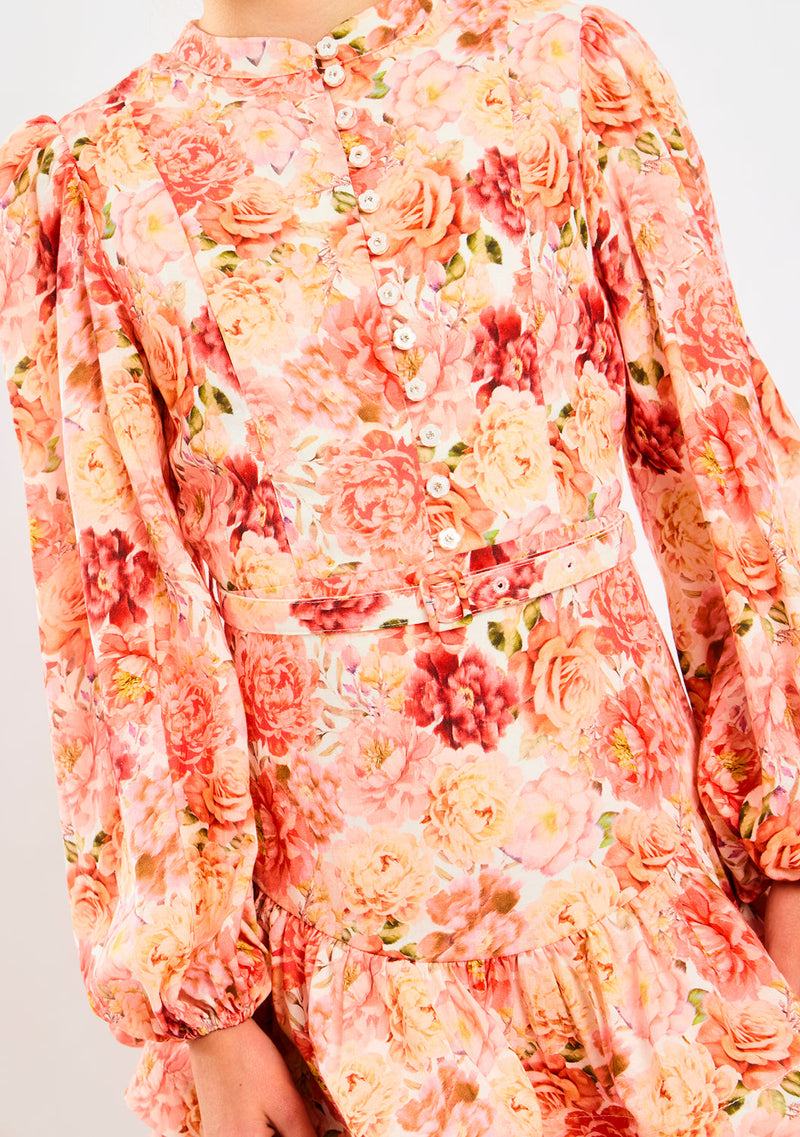 Amelia Sleeve Mini Dress