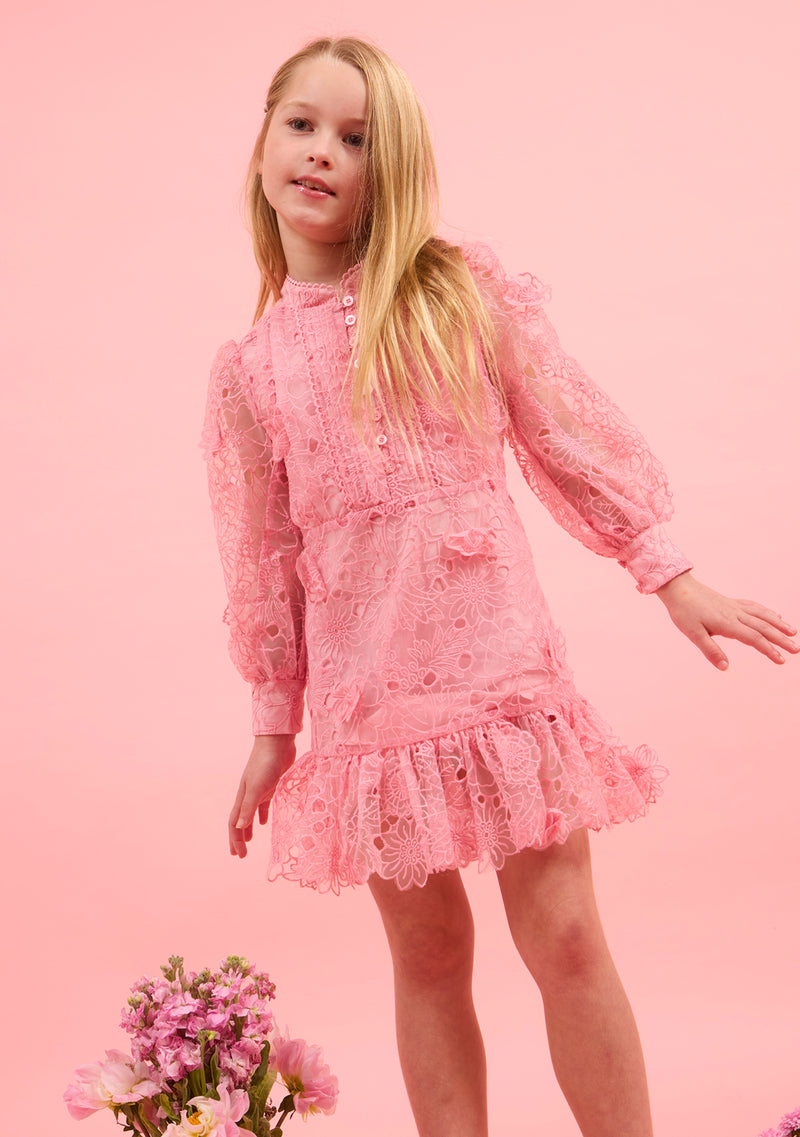 Prue Long Sleeve Embroidered Mini Dress