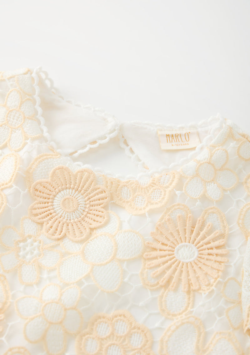 Amara Embroidered Mini Dress