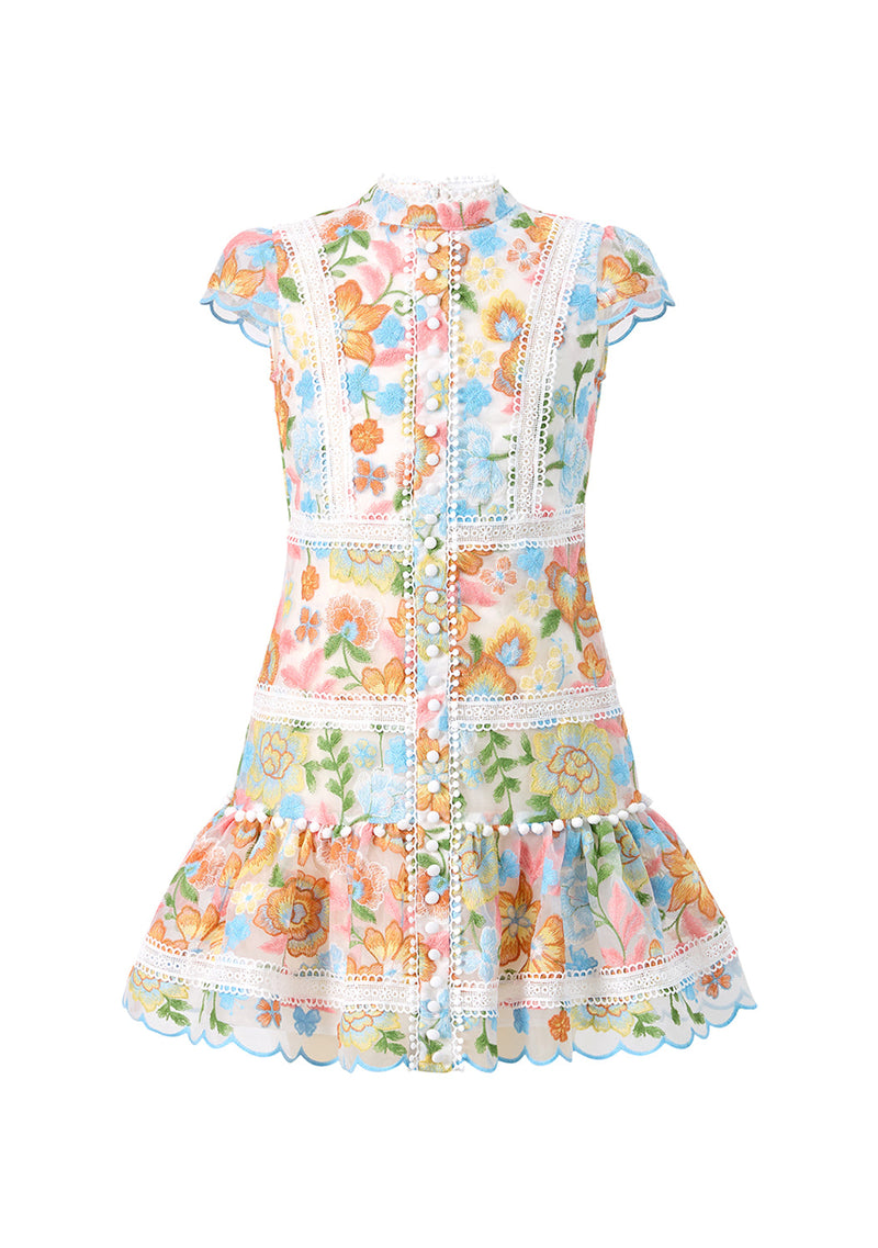 Piper Embroidered Mini Dress