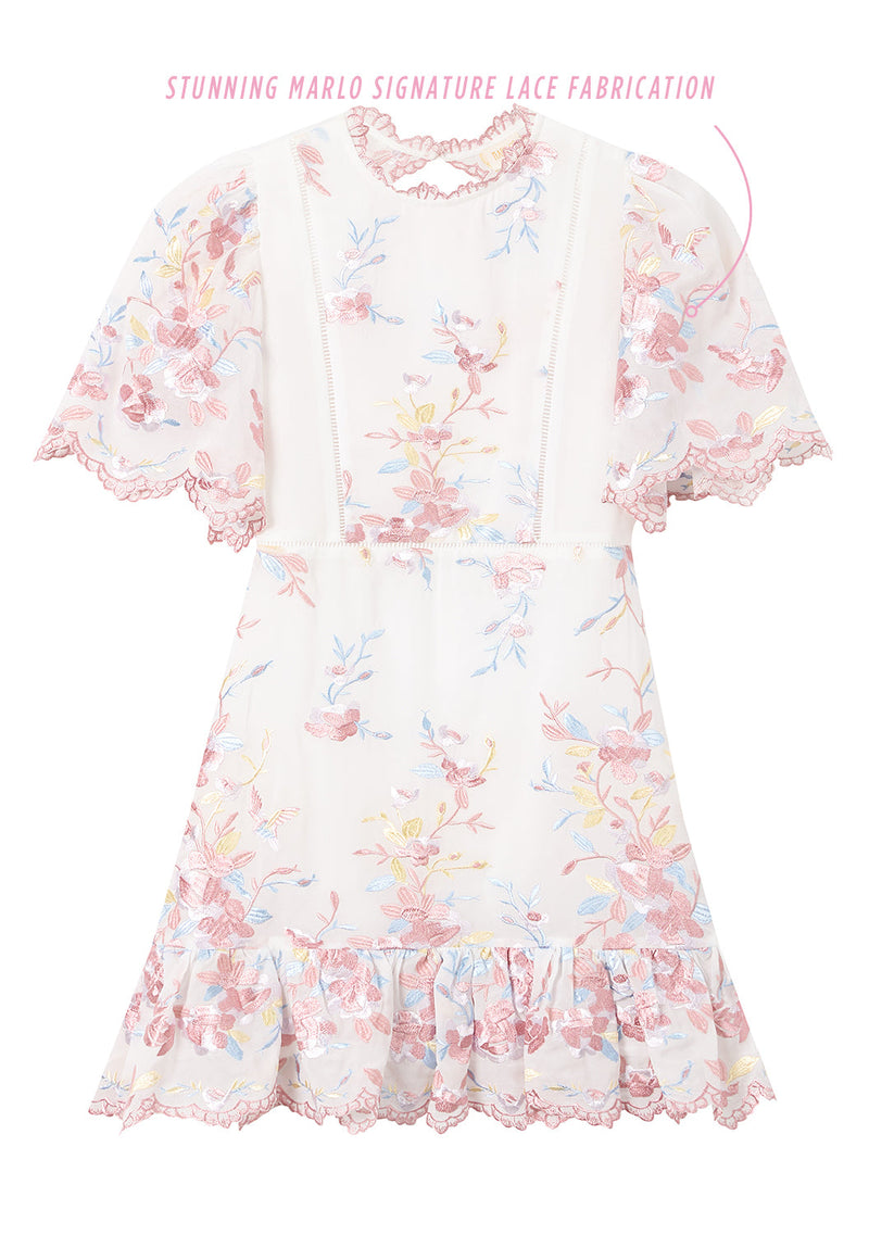 Scarlett Embroidered Mini Dress