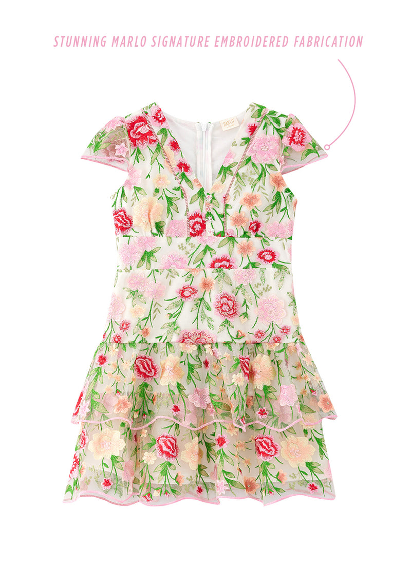 Poppy Embroidered Dress
