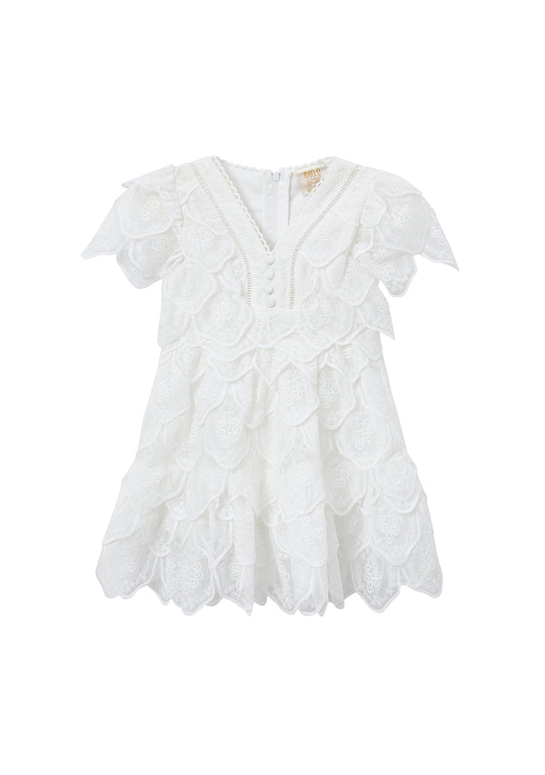 Rosette Embrodiered Dress (Baby)