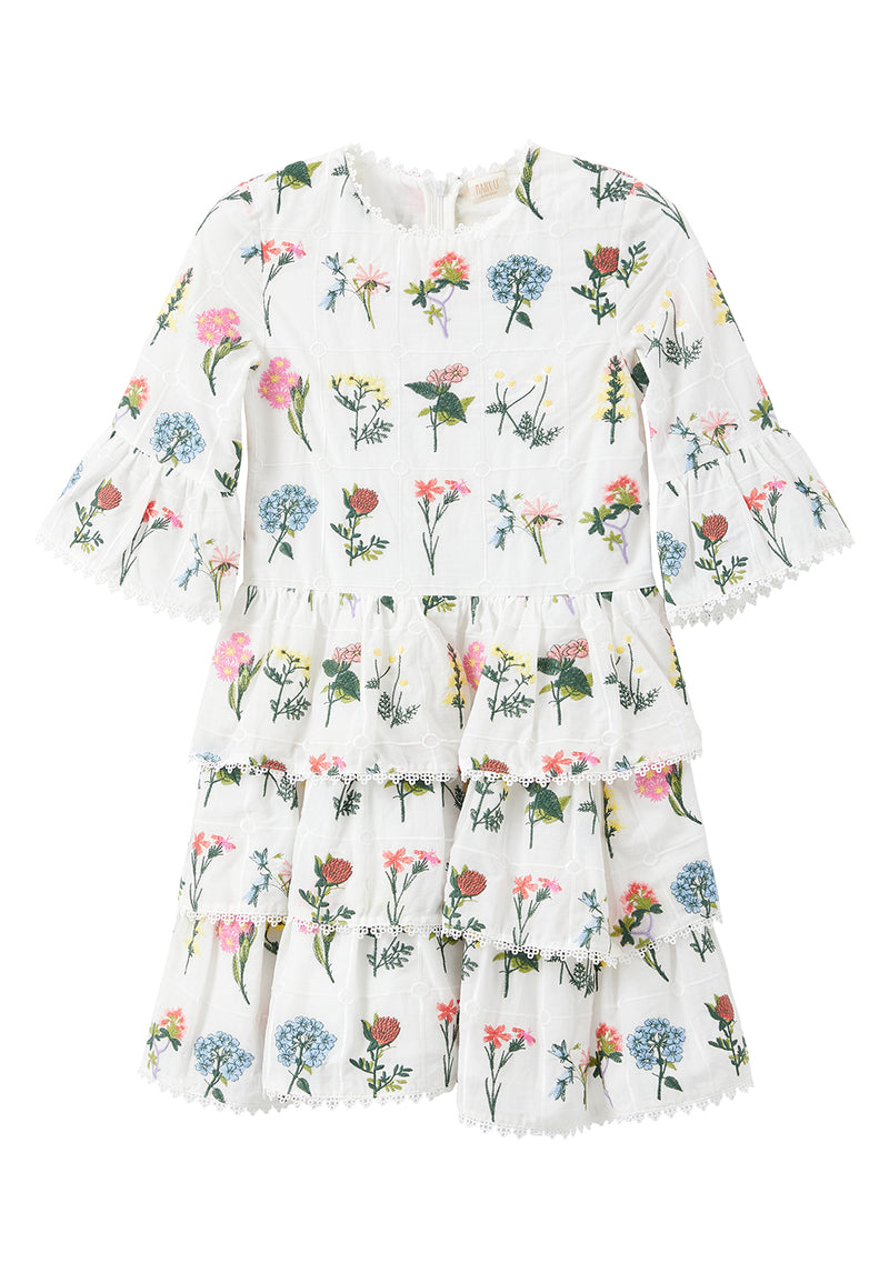 Lucette Embroidered Dress