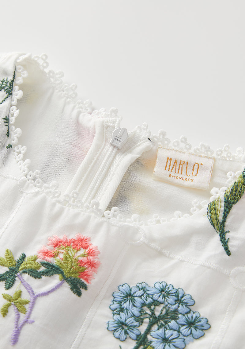 Lucette Embroidered Dress