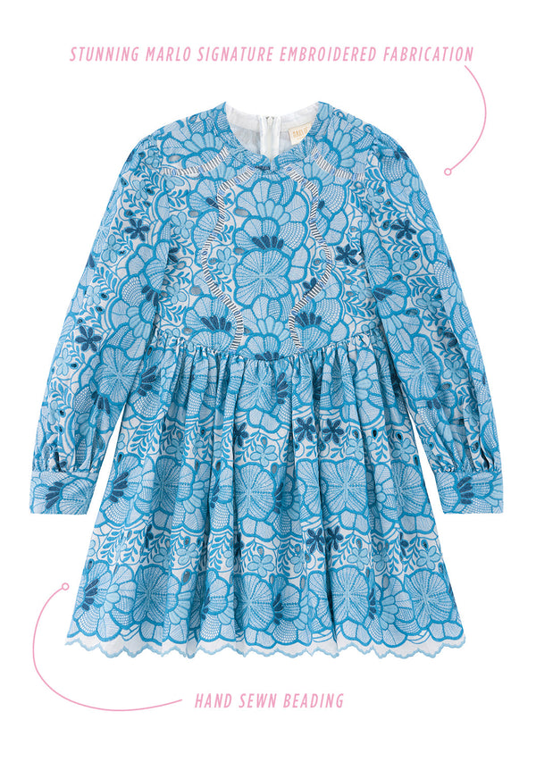 Evangeline Embroidered Dress